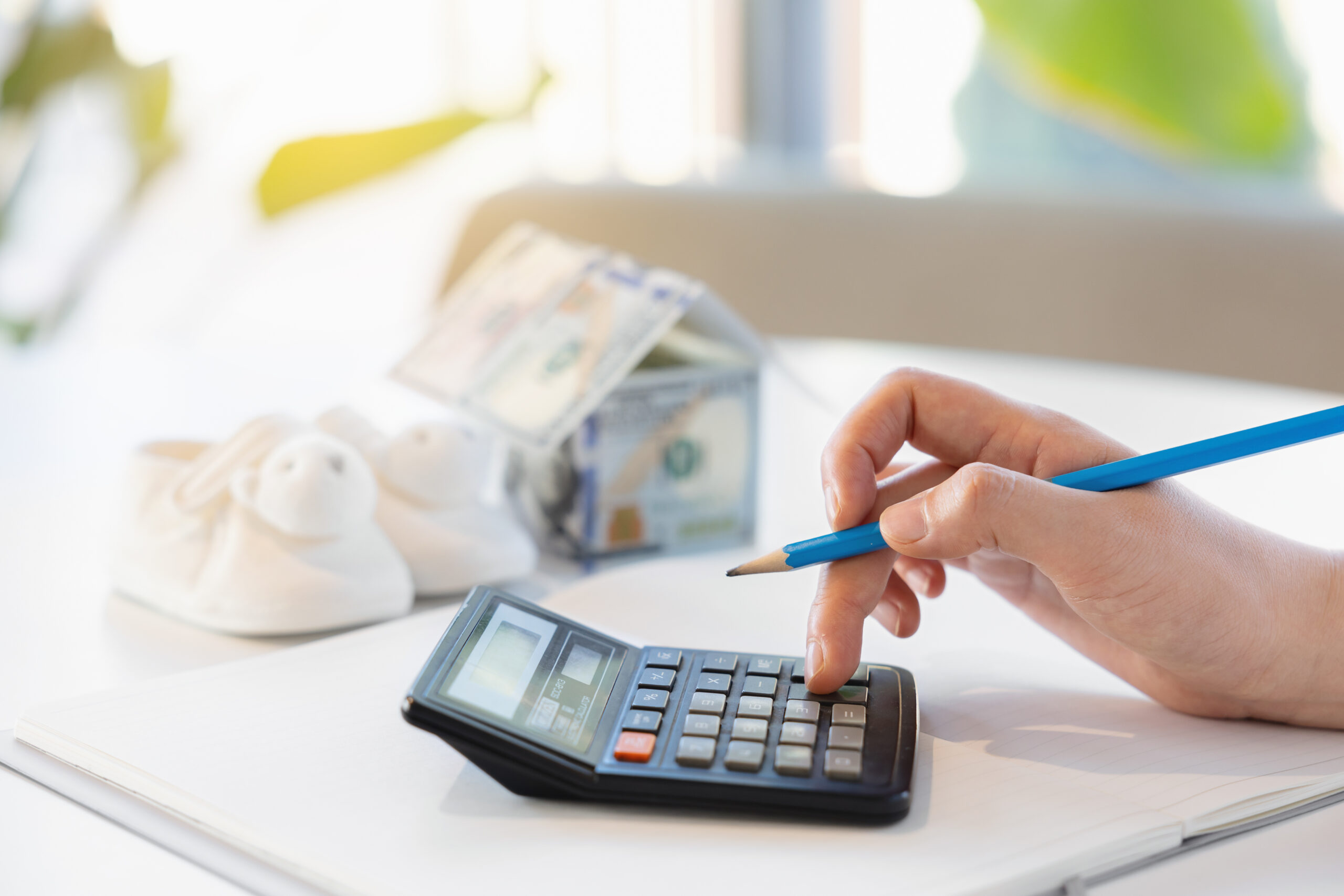 South Carolina Child Support Payment